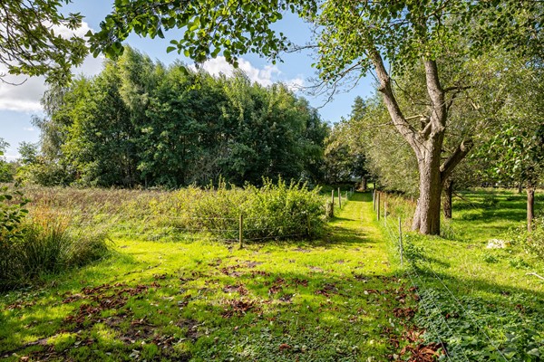 Foto - Te koop: Lietsweg 6, 9364 TB Nuis